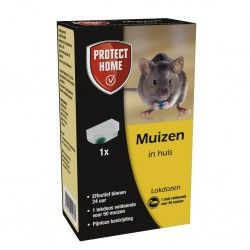 Muizengif